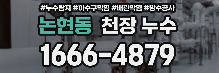 논현동 천장 누수
