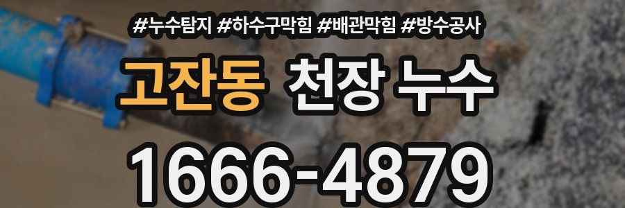 고잔동 천장 누수