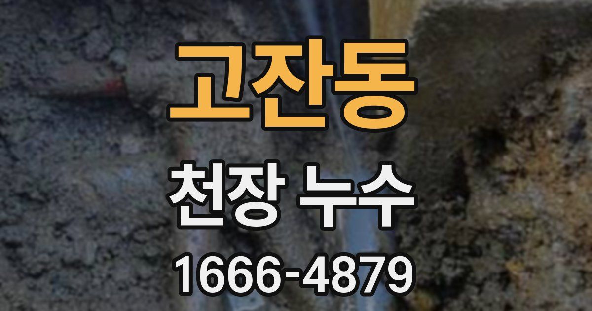 고잔동 천장 누수