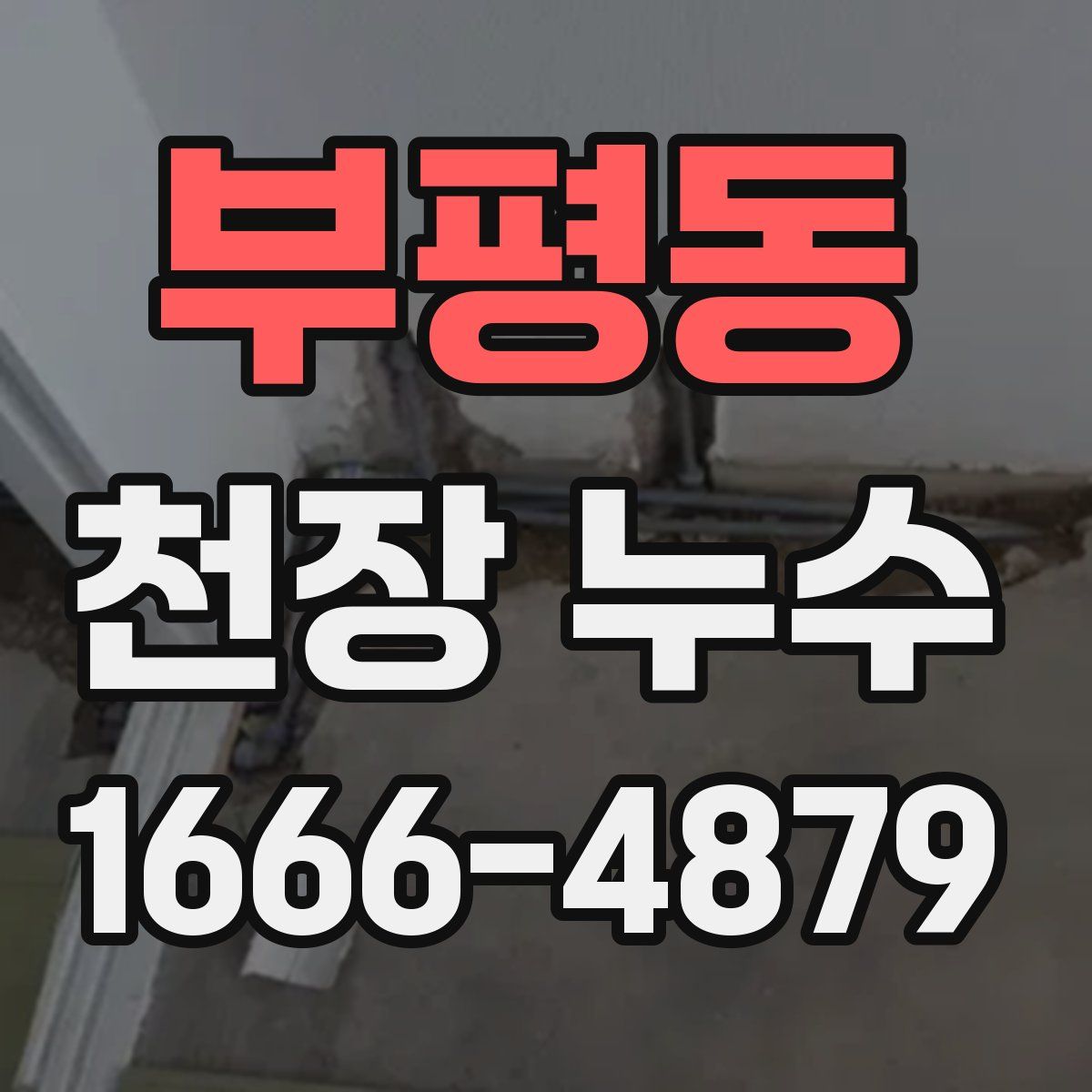 부평동 천장 누수