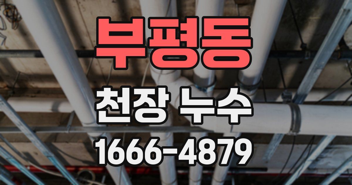 부평동 천장 누수