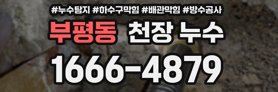 부평동 천장 누수