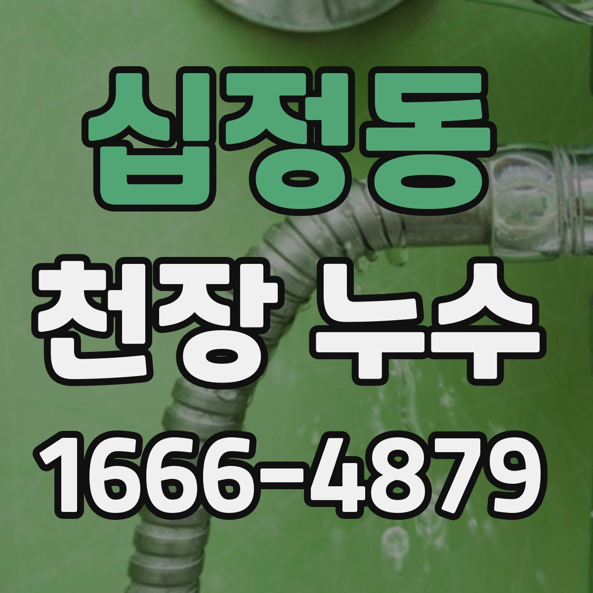 십정동 천장 누수