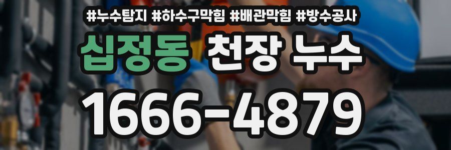 십정동 천장 누수