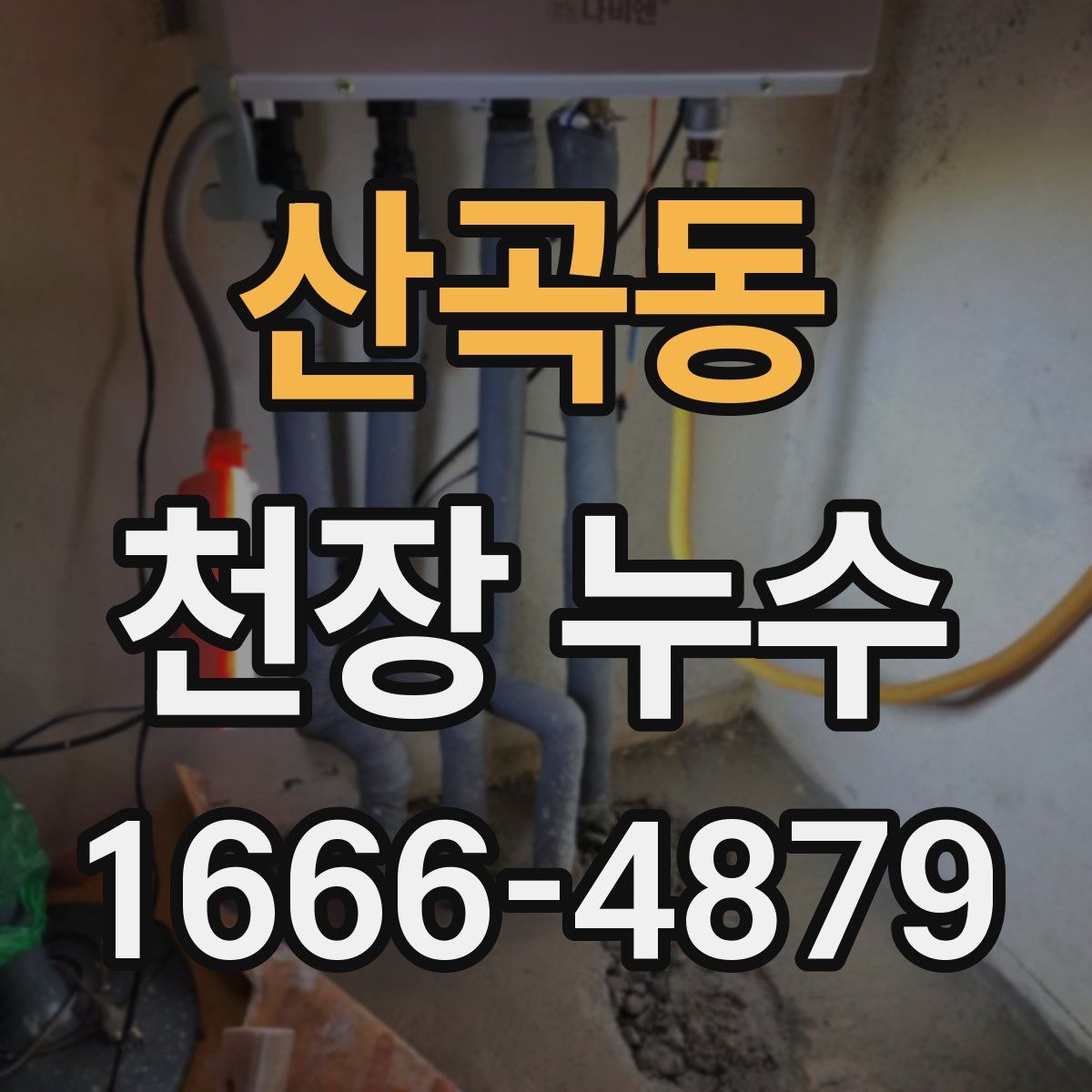 산곡동 천장 누수