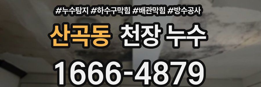 산곡동 천장 누수