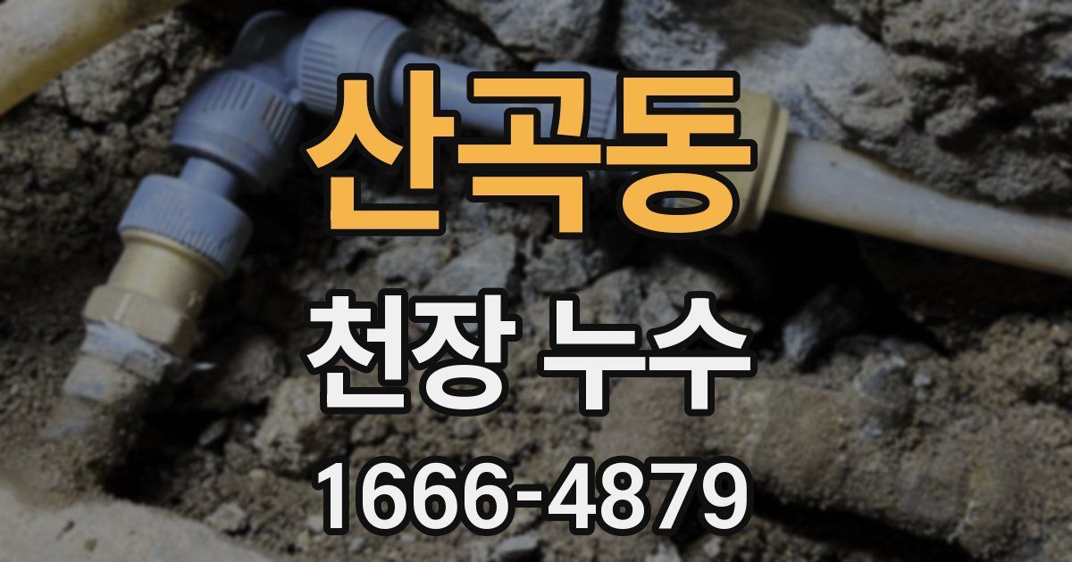 산곡동 천장 누수