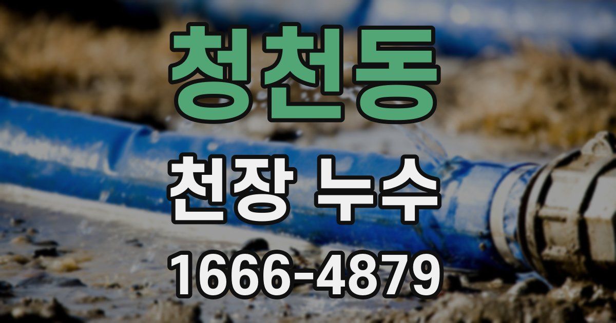 청천동 천장 누수