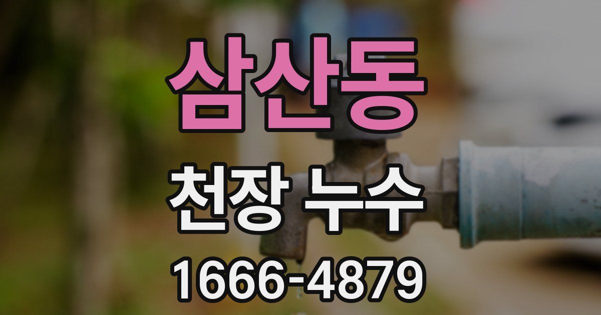 삼산동 천장 누수