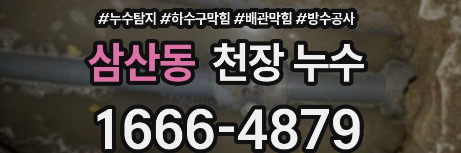 삼산동 천장 누수