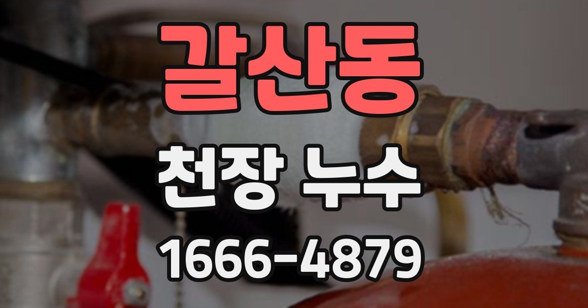 갈산동 천장 누수