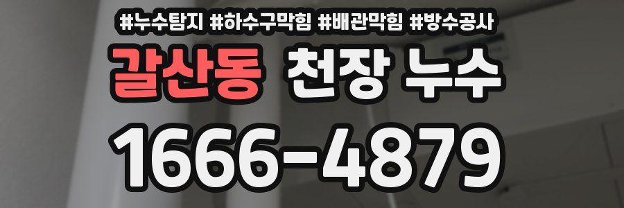 갈산동 천장 누수