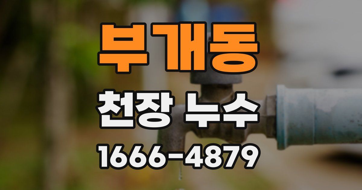 부개동 천장 누수