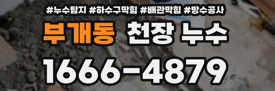 부개동 천장 누수