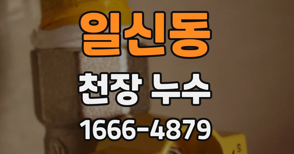 일신동 천장 누수