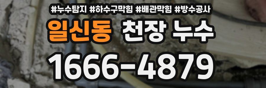 일신동 천장 누수