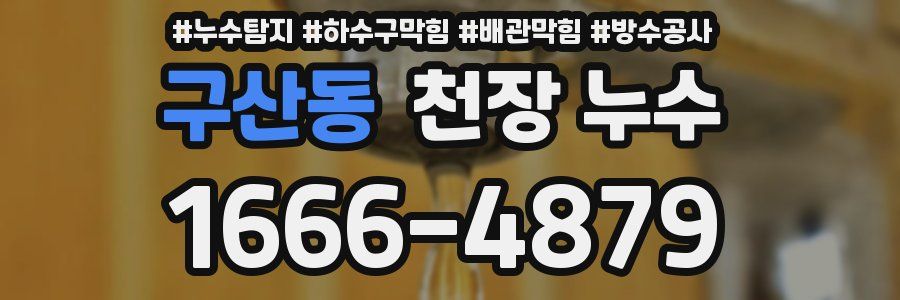 구산동 천장 누수
