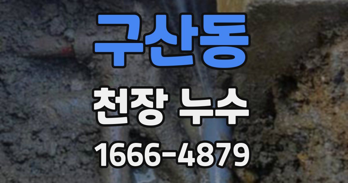 구산동 천장 누수