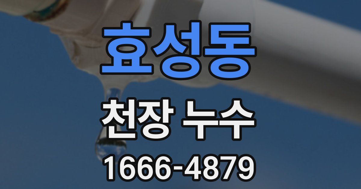 효성동 천장 누수