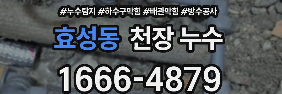효성동 천장 누수