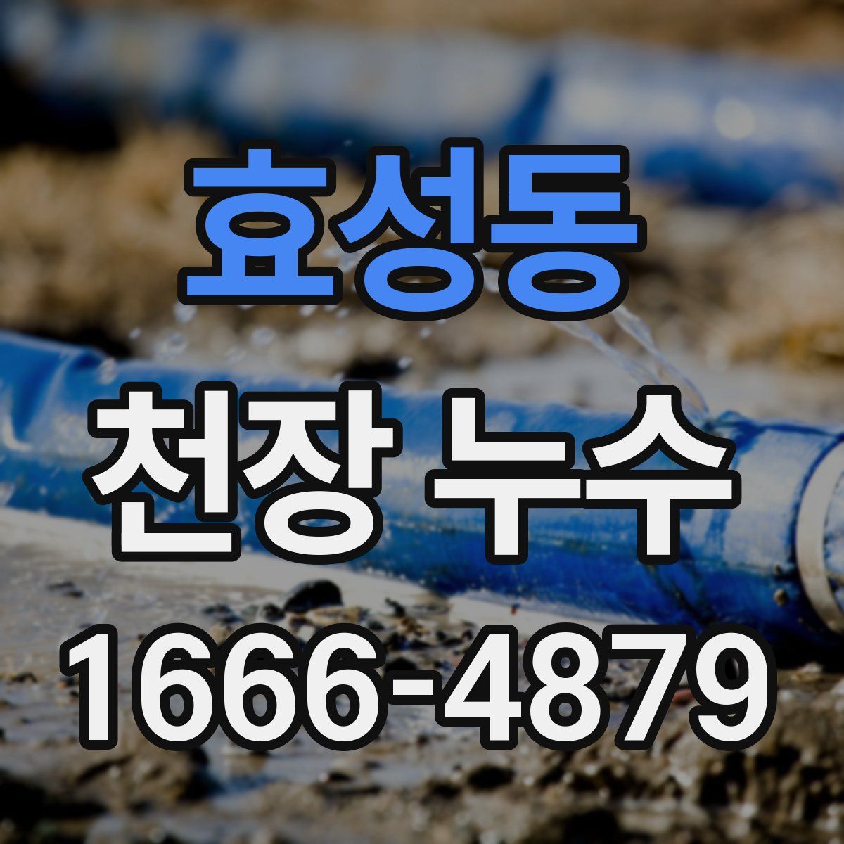 효성동 천장 누수