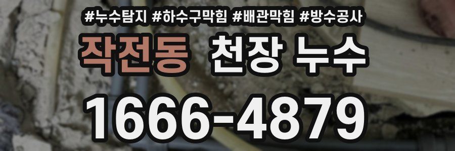 작전동 천장 누수