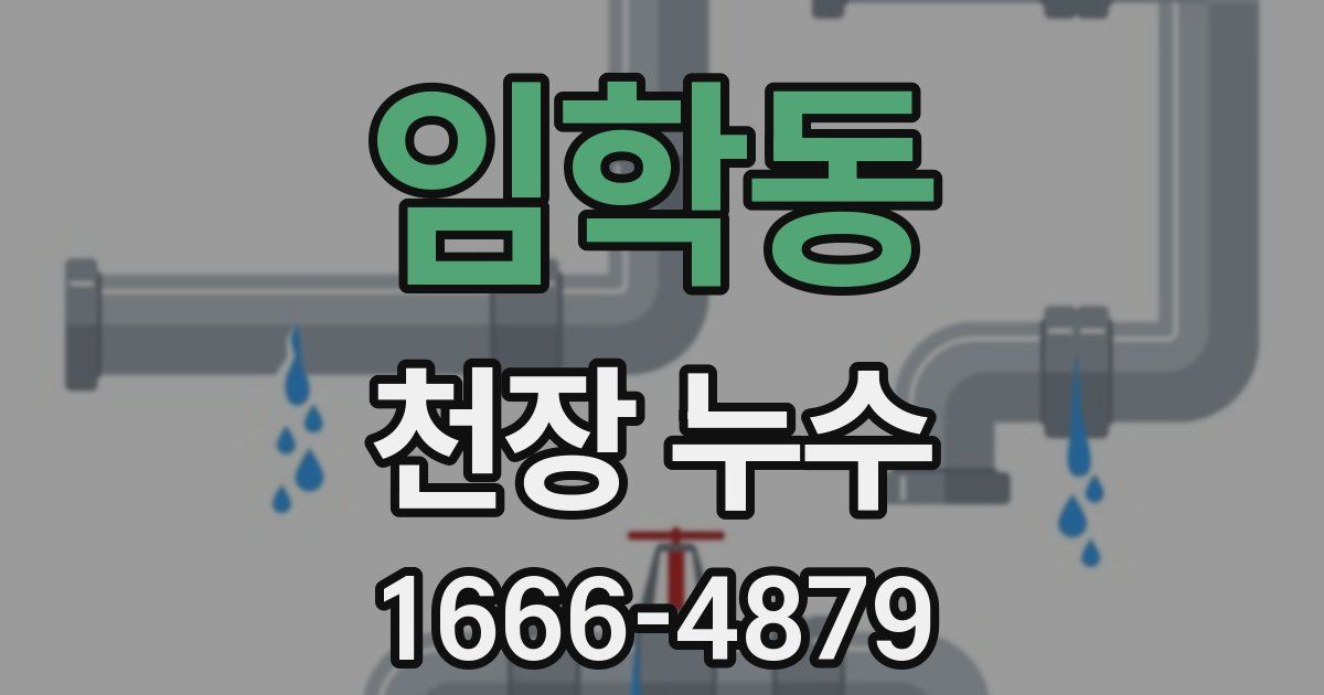 임학동 천장 누수