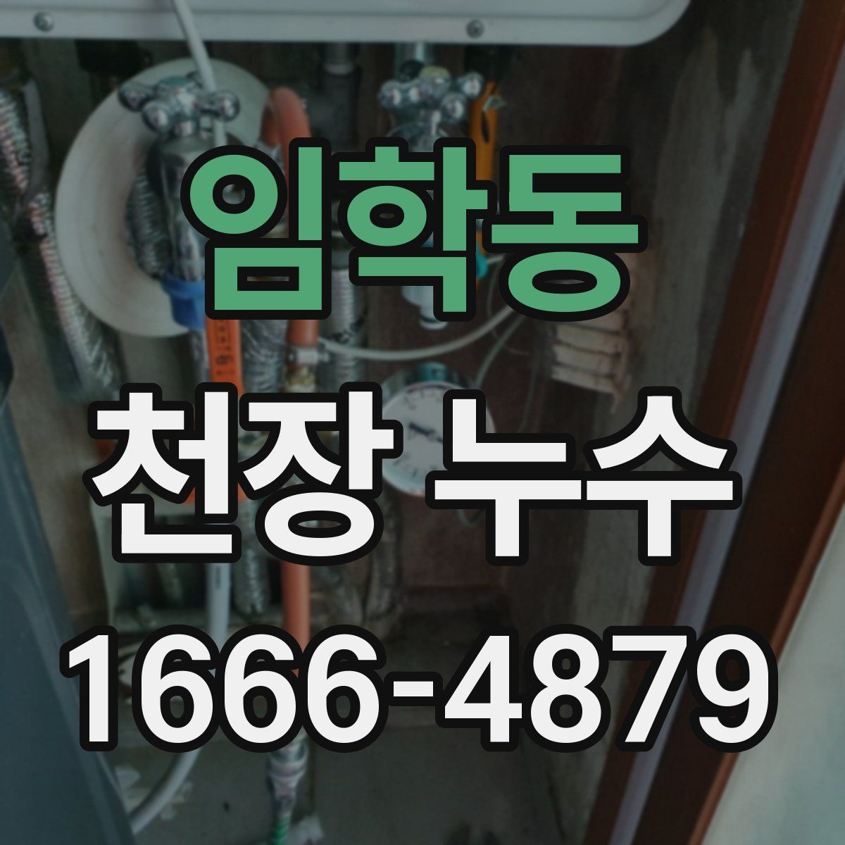 임학동 천장 누수