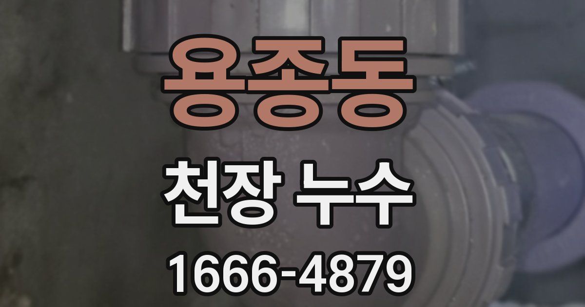 용종동 천장 누수