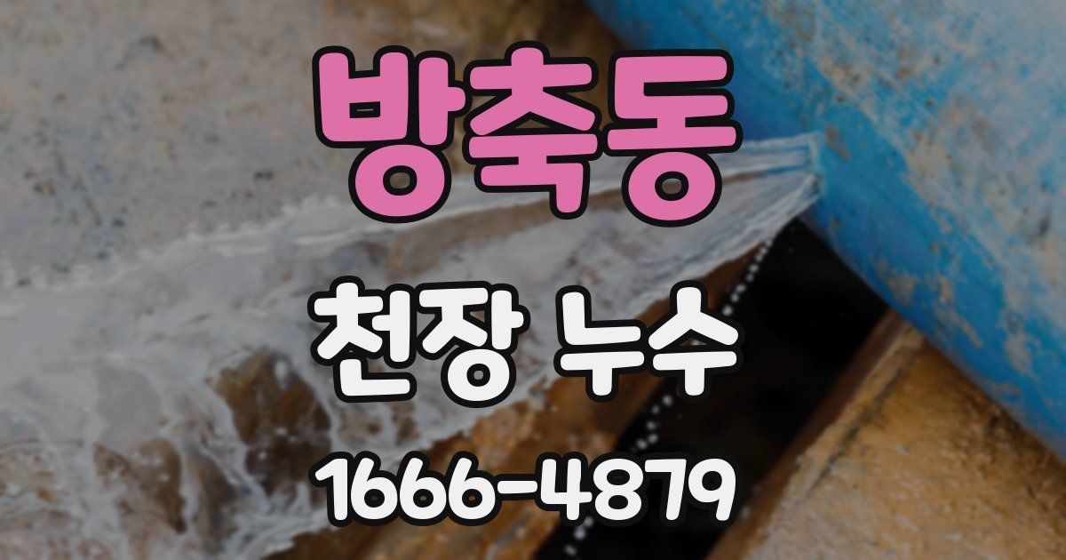 방축동 천장 누수