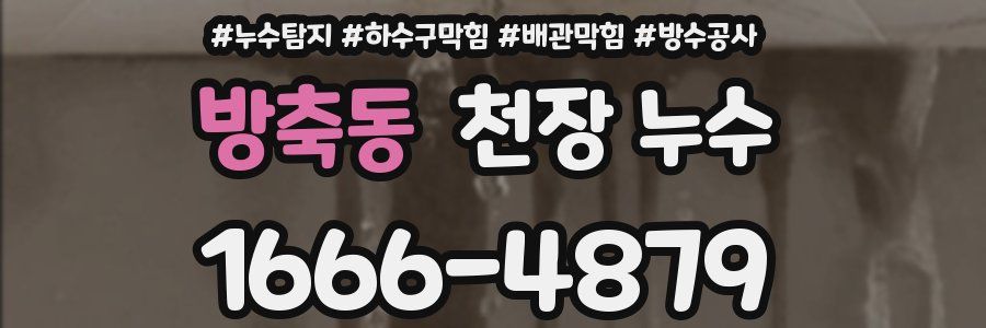방축동 천장 누수