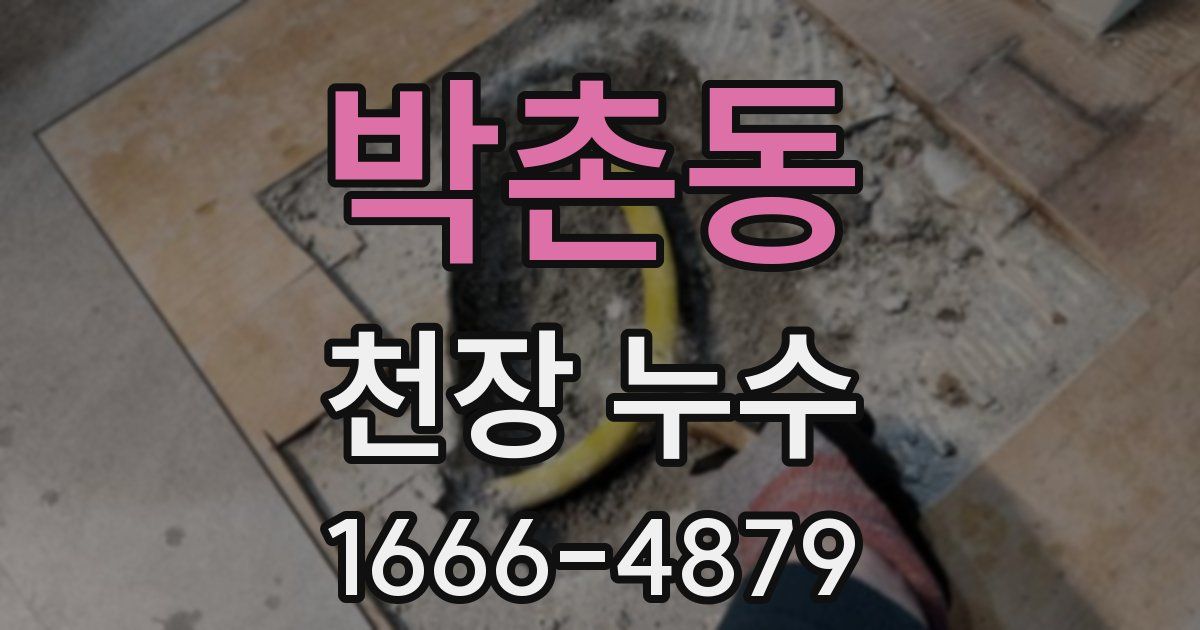 박촌동 천장 누수