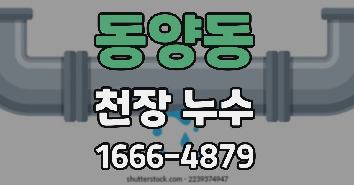 동양동 천장 누수