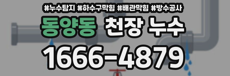 동양동 천장 누수
