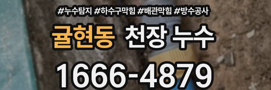 귤현동 천장 누수