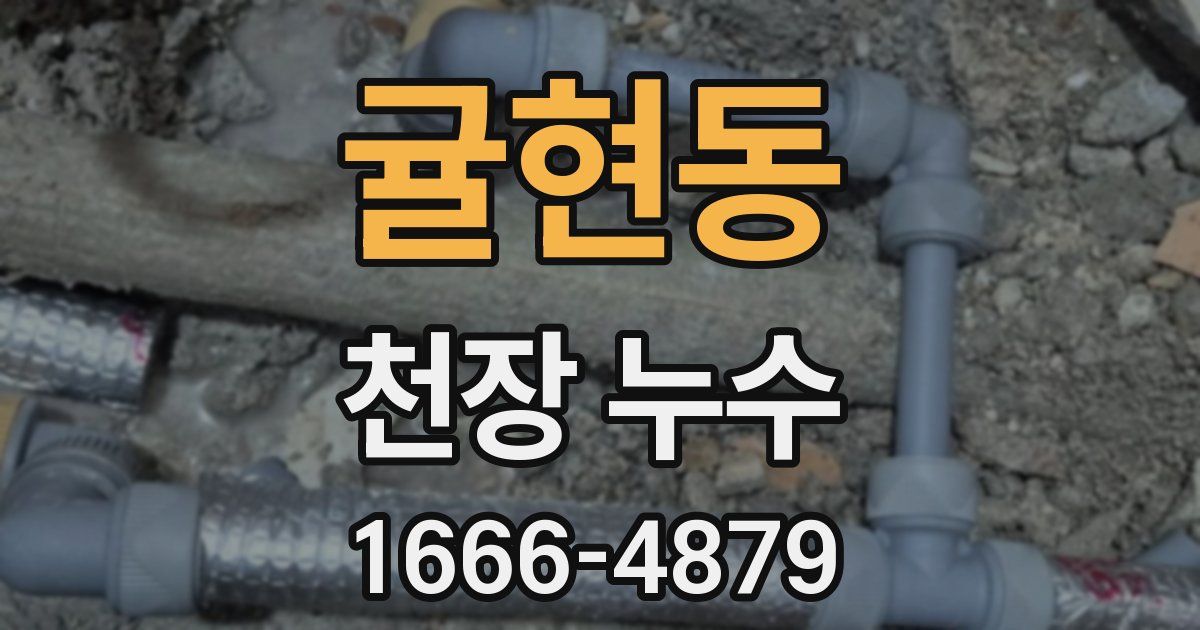 귤현동 천장 누수