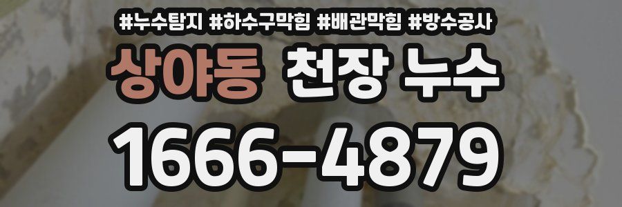 상야동 천장 누수