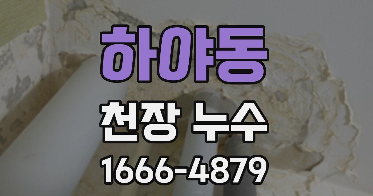 하야동 천장 누수