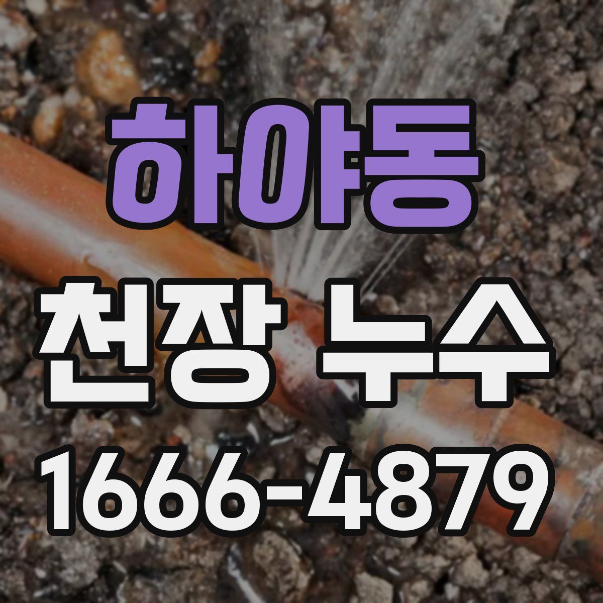 하야동 천장 누수