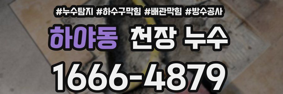 하야동 천장 누수