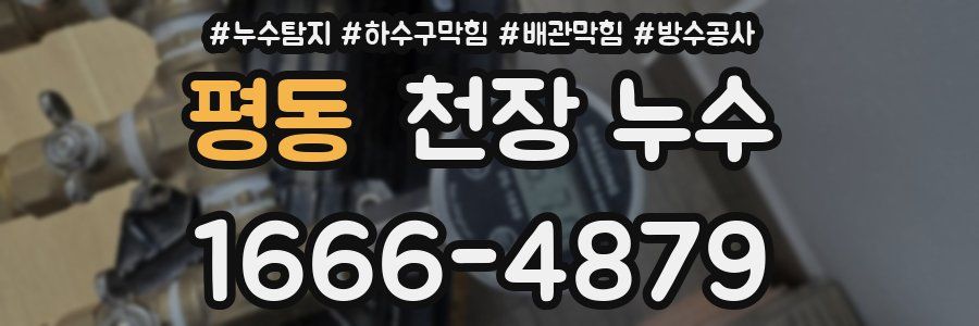 평동 천장 누수