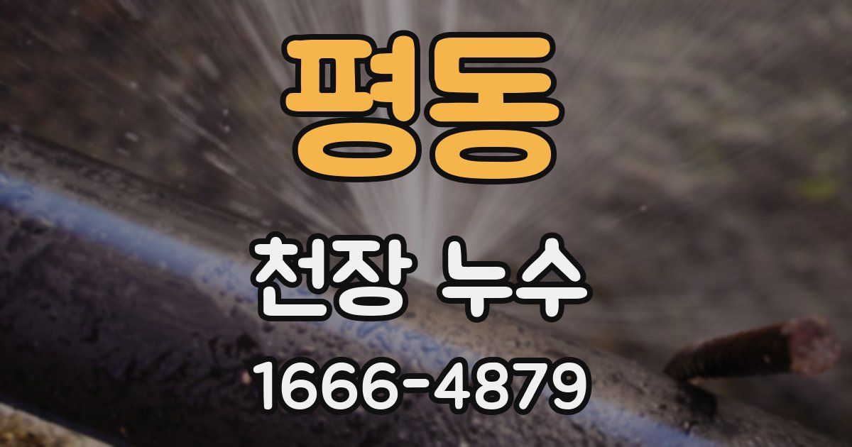 평동 천장 누수
