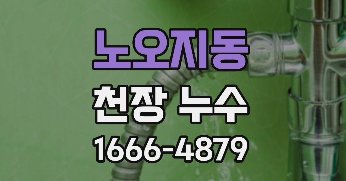 노오지동 천장 누수