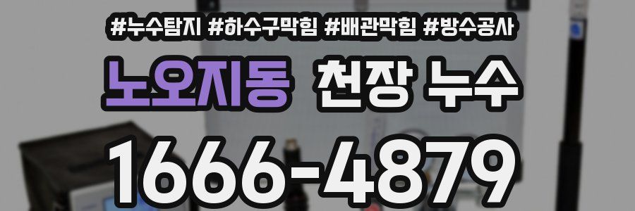 노오지동 천장 누수