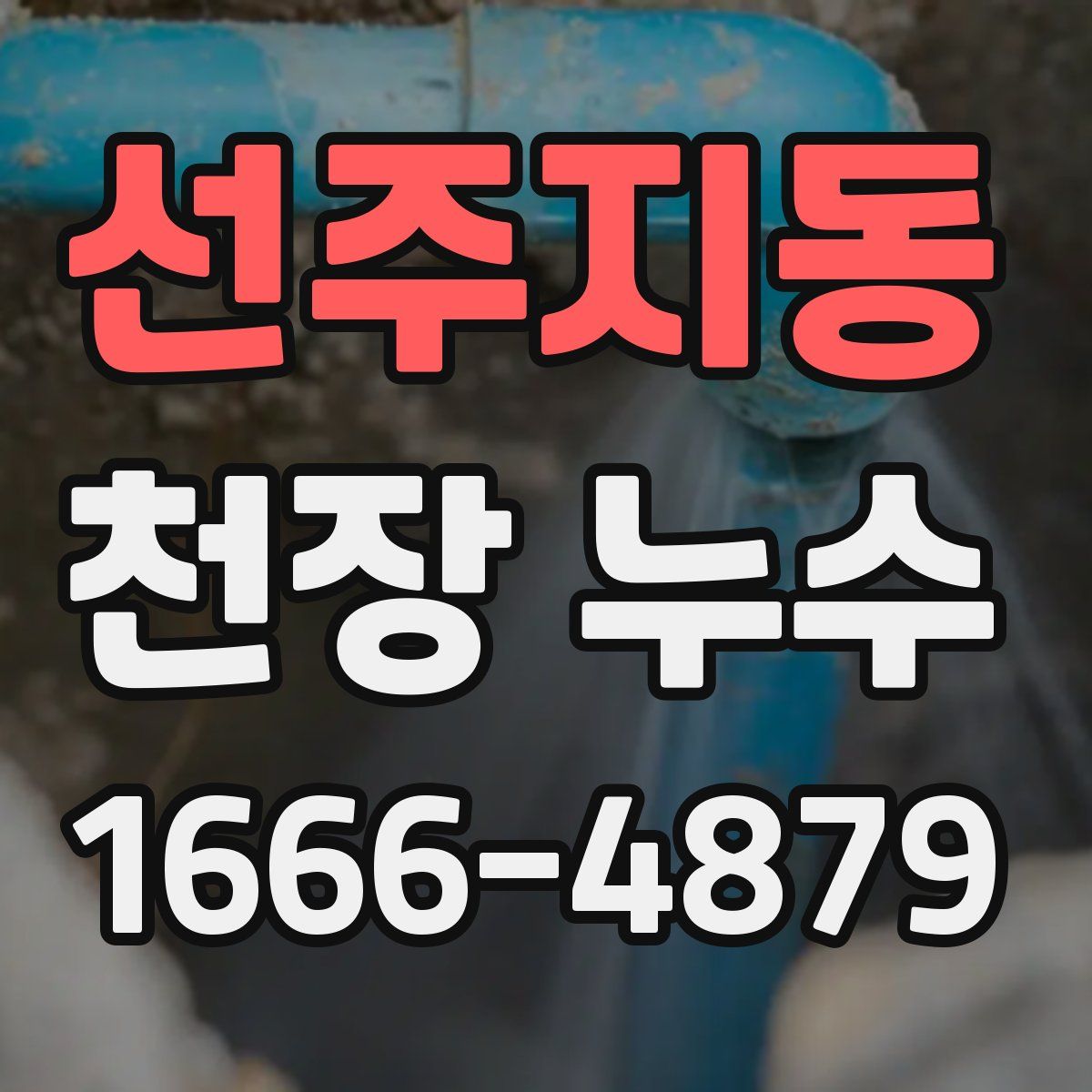 선주지동 천장 누수