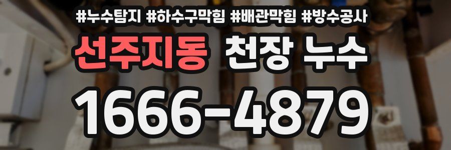 선주지동 천장 누수