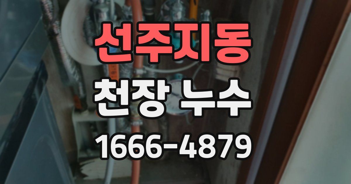 선주지동 천장 누수
