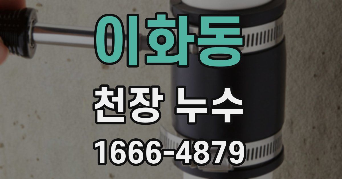 이화동 천장 누수