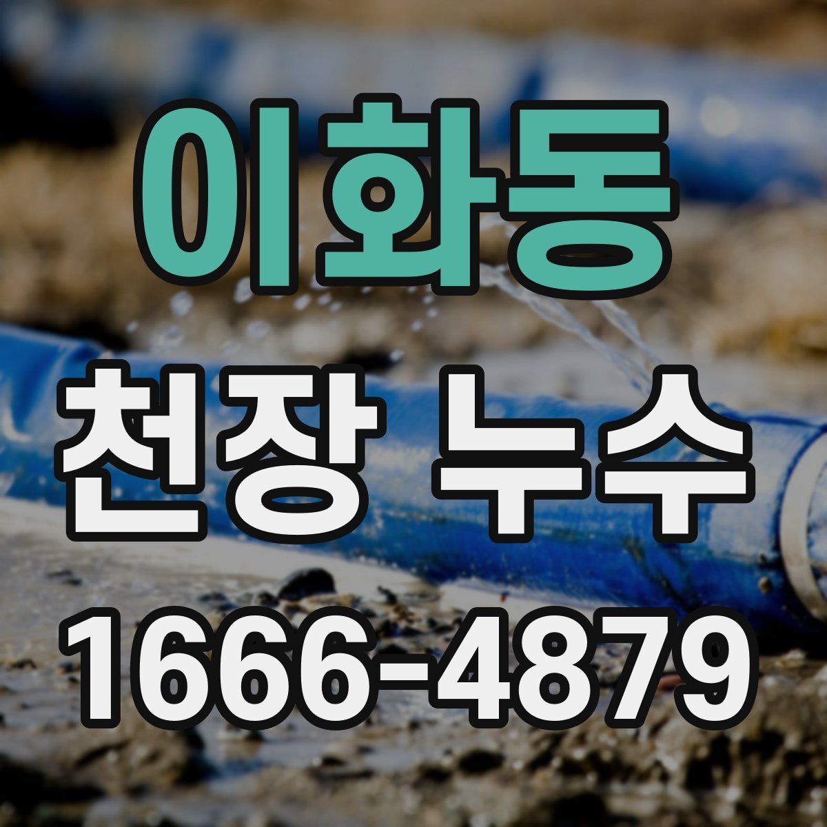 이화동 천장 누수