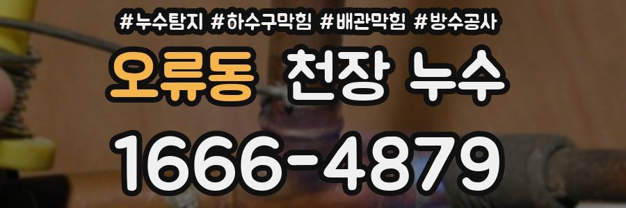 오류동 천장 누수